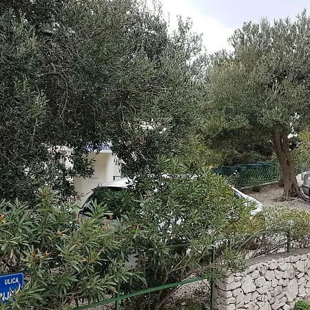 Lejlighed Kristin Podaca